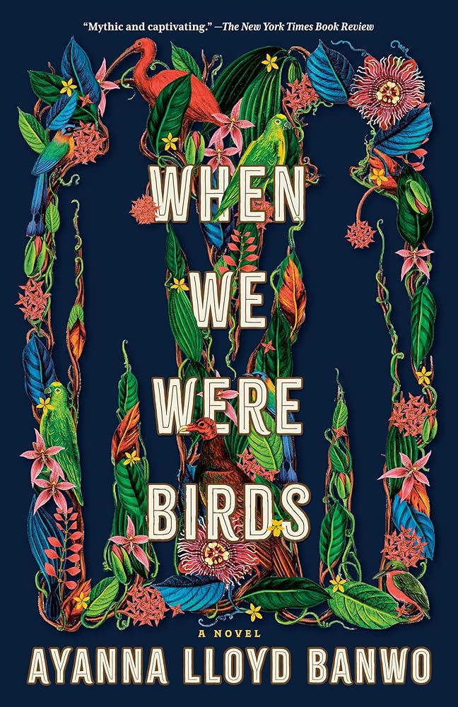 When We Were Birds: A Novel cover image